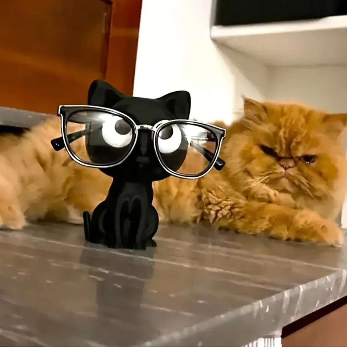 3D 프린트 고양이 안경테, 선글라스, 일반 안경 보관 - 3D Printing Glasses Frames 리뷰 및 가격